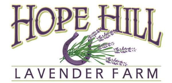 Hope Hill Lavender Farm